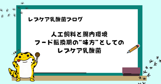 人工飼料と腸内環境。フード転換期の“味方”としてのレプケア乳酸菌