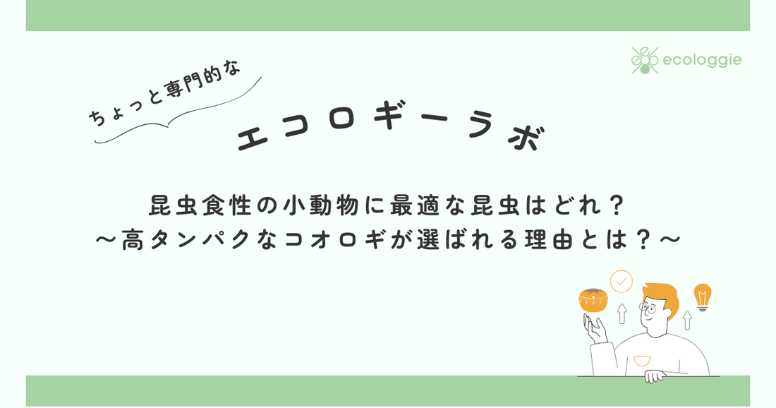 昆虫食性の小動物に最適な昆虫はどれ？〜高タンパクなコオロギが選ばれる理由とは？〜