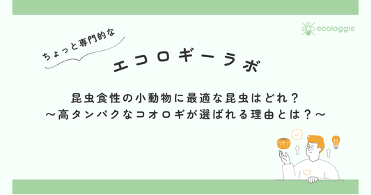 昆虫食性の小動物に最適な昆虫はどれ？〜高タンパクなコオロギが選ばれる理由とは？〜