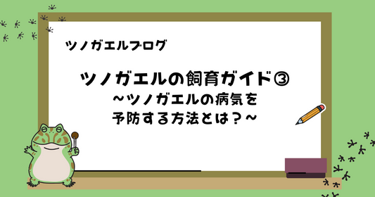 【初心者向け】ツノガエルの飼育ガイド③ | ツノガエルの病気を予防する方法とは？症状別の早期対処法も紹介