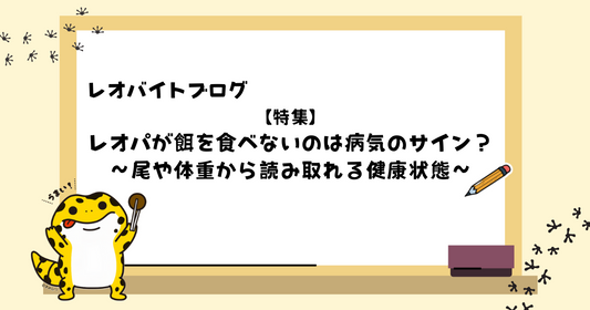 レオパが餌を食べないのは病気のサイン？尾や体重から読み取れる健康状態