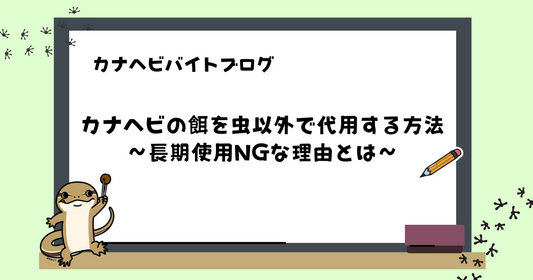 カナヘビの餌を虫以外で代用する方法｜長期使用NGな理由とは
