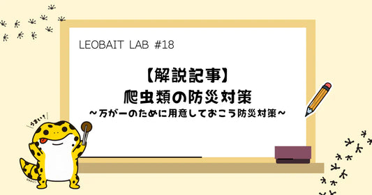 #18【解説記事】爬虫類の防災対策 ~万が一のために用意しておこう防災対策~