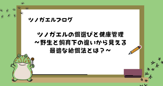 ツノガエルの餌選びと健康管理｜野生と飼育下の違いから見える最適な給餌法とは？