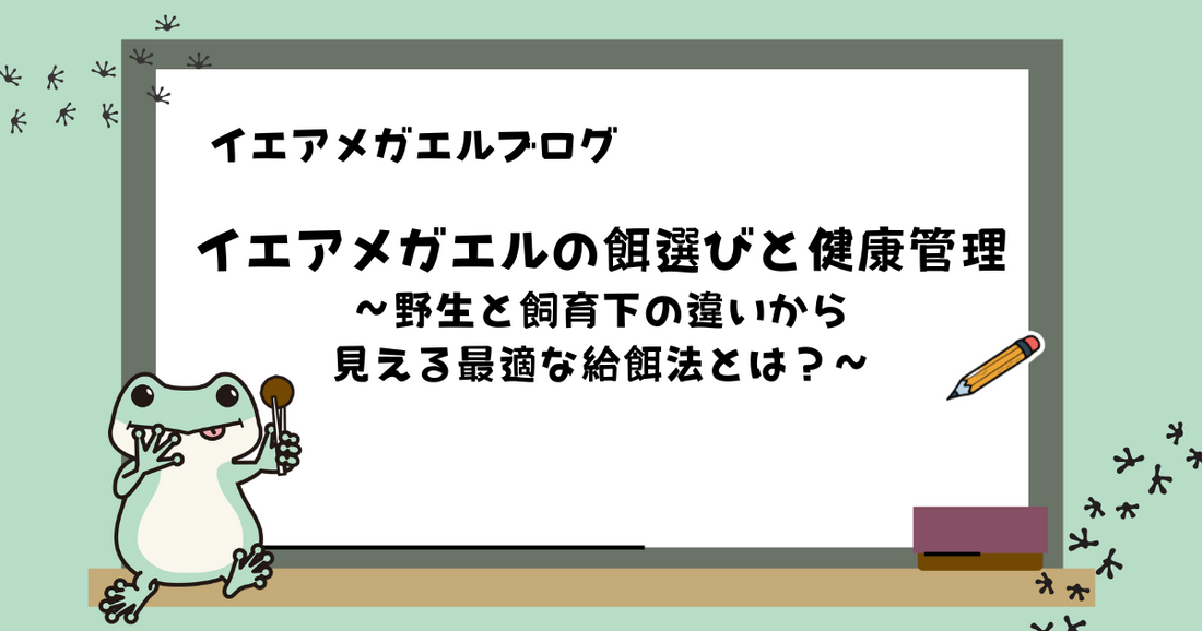 イエアメガエルの餌選びと健康管理：野生と飼育下の違いから見える最適な給餌法とは？