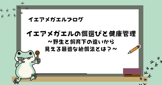 イエアメガエルの餌選びと健康管理：野生と飼育下の違いから見える最適な給餌法とは？