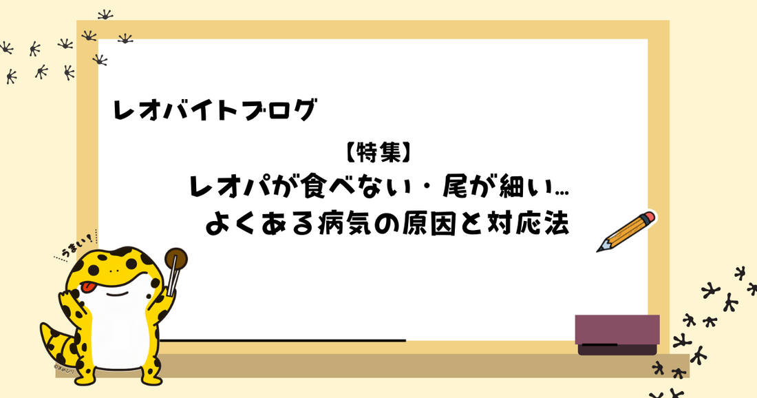 レオパが食べない・尾が細い… よくある病気の原因と対応法