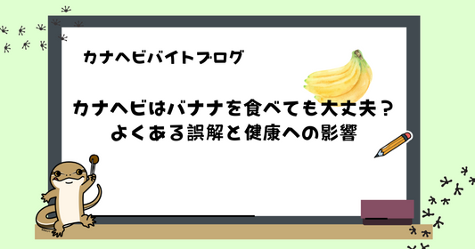 カナヘビはバナナを食べても大丈夫？よくある誤解と健康への影響