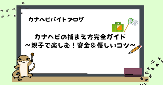 【初心者向け】カナヘビの捕まえ方完全ガイド｜親子で楽しむ！安全＆優しいコツ教えます