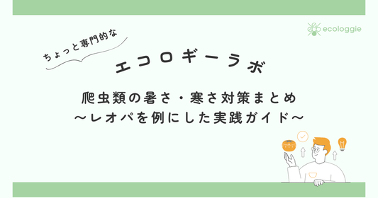 爬虫類の暑さ・寒さ対策まとめ｜レオパを例にした実践ガイド
