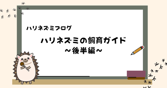 【後編】ハリネズミ飼育ガイド | 触れ合い方や日々の健康チェックや病気について