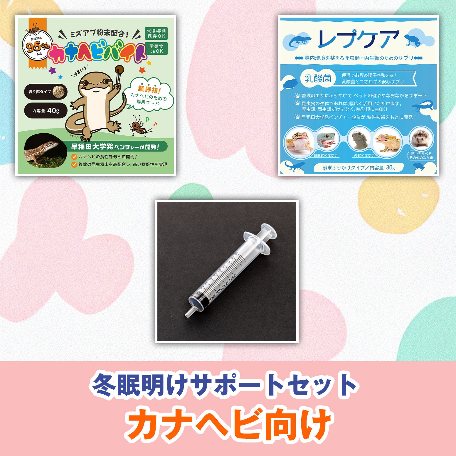 カナヘビ向け：冬眠明けサポートセット