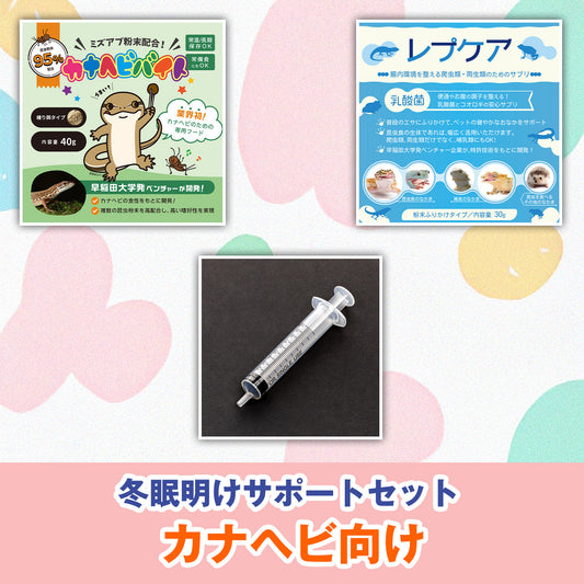 カナヘビ向け：冬眠明けサポートセット