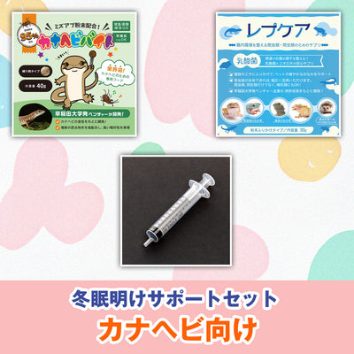カナヘビ向け：冬眠明けサポートセット