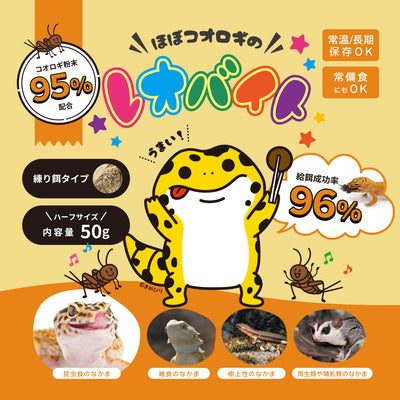 拒食立ち上げセット