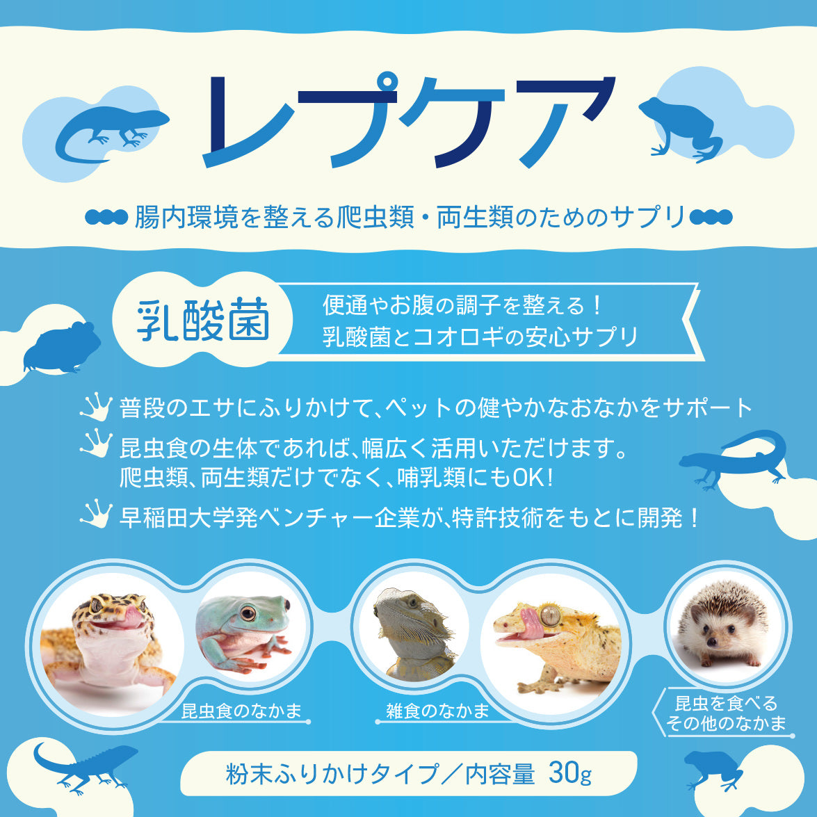 カエル向け：ブリーディングセット - エコロギー